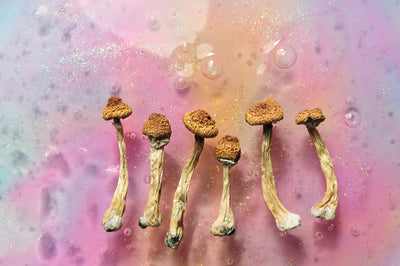 Spilling The Tea On Microdosing: The Science Behind Taking Small Doses of Psychedelics